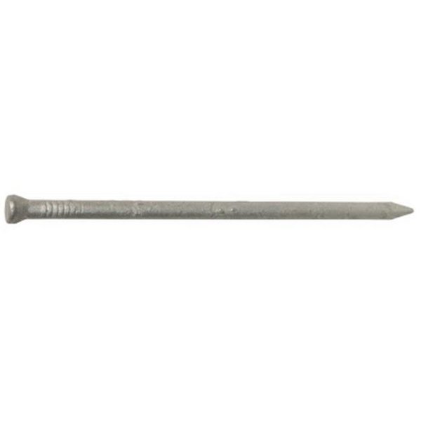 Hillman Hillman Fasteners 461306 2.5 in. 8D Hot Dipped Galvanized Nail 195694